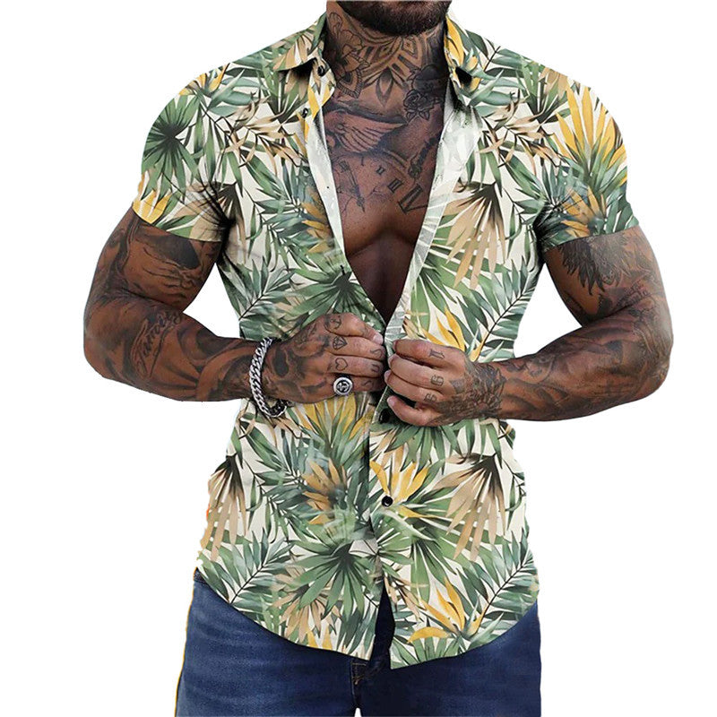 Men Wears