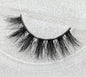 dcd8c943079a0aed8fa088ccc81f711d